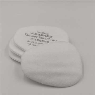 Anti Dust Mask With Filter 7N11