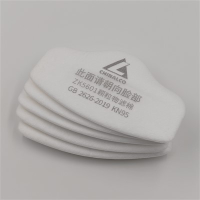 Particulate Filter Light 5601