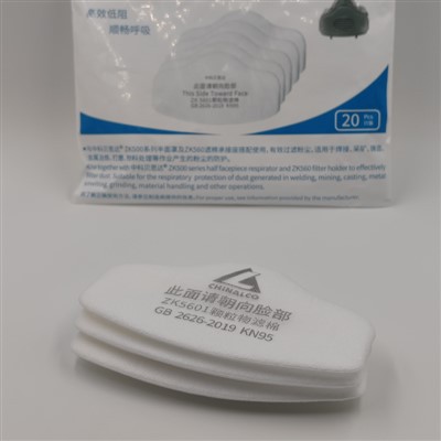 Particulate Filter Replacement 5601